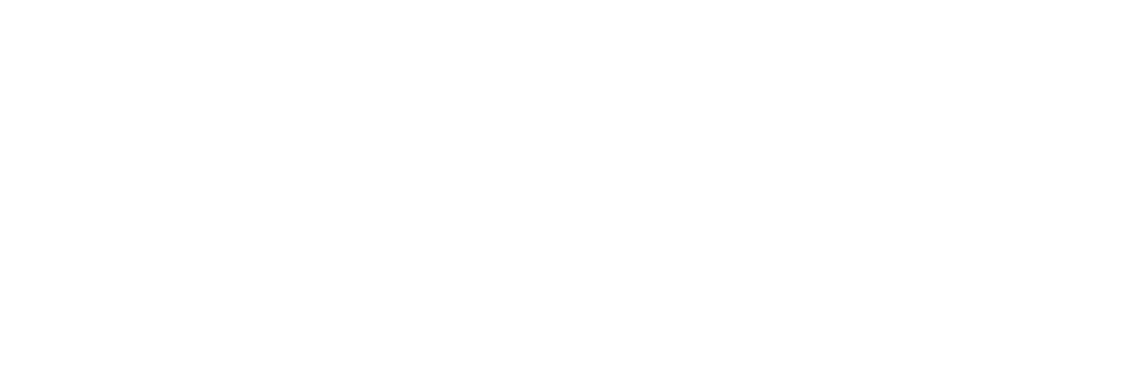 Discognizer Logos
